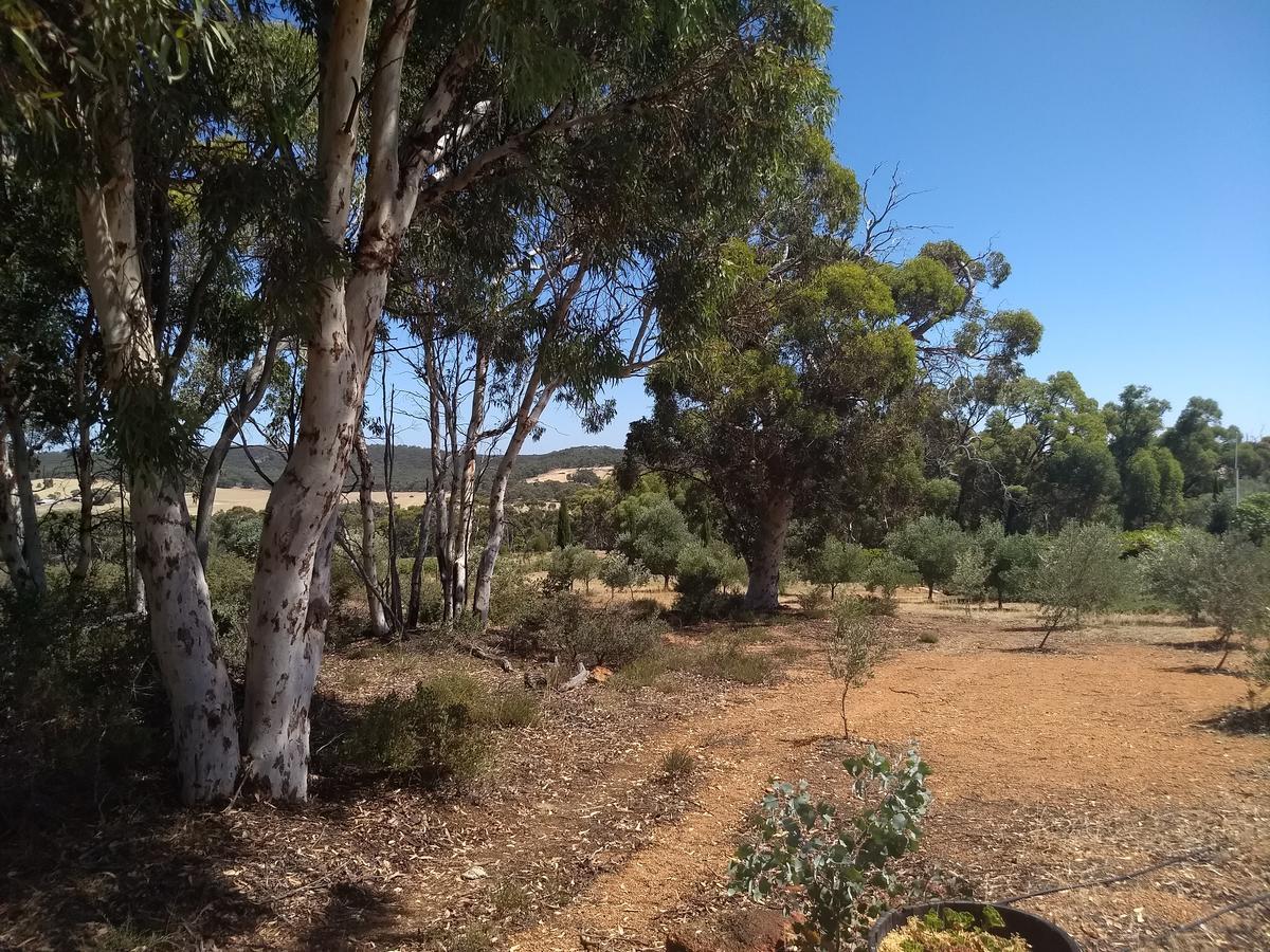 Hotham Ridge Estate Villa Wandering Exterior photo